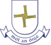 Scoil Bhride NS