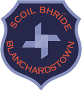 Scoil Bhríde Buachaillí