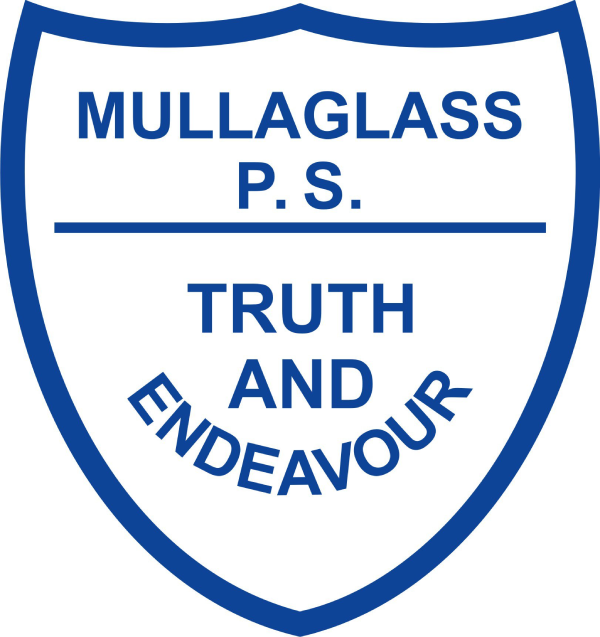 Mullaglass Primary School 