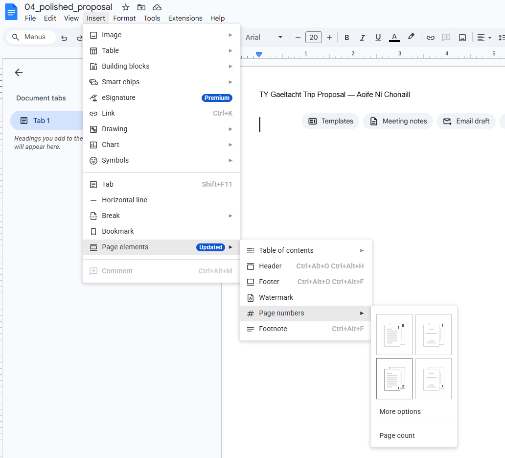 <strong>Core 4 — move 3 of 4.</strong> Click anywhere in the document body, then click {{menu:Insert -> Page numbers}}. 