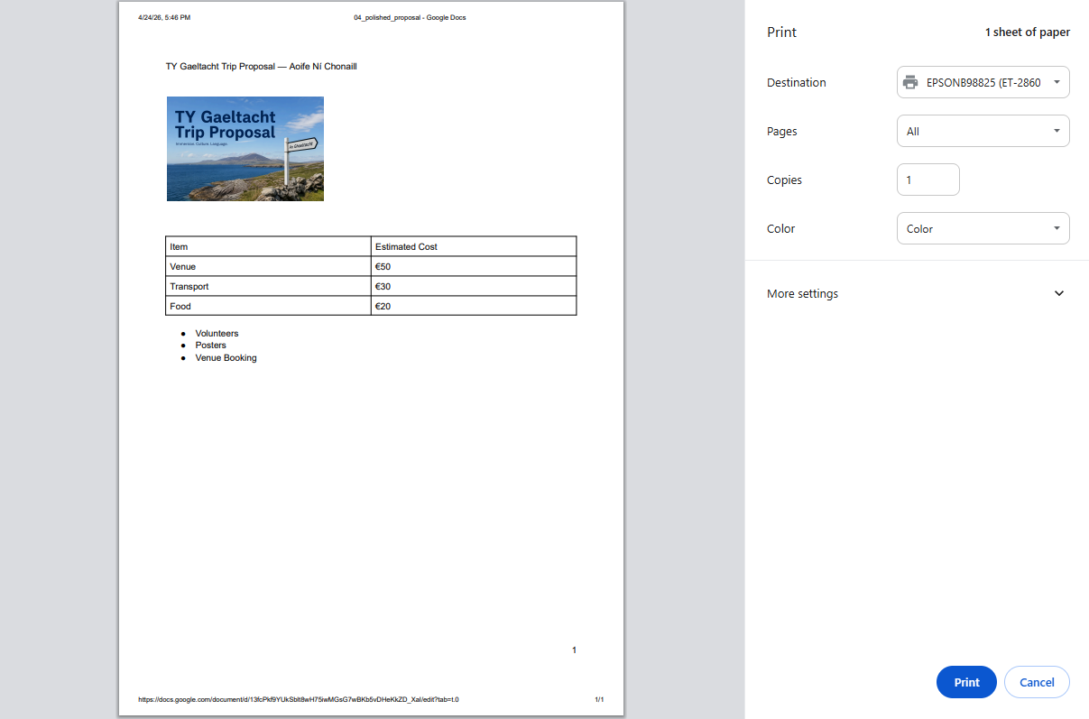 Google Docs Print dialog with preview panel showing a one-page proposal with header, image, table, and bullet list