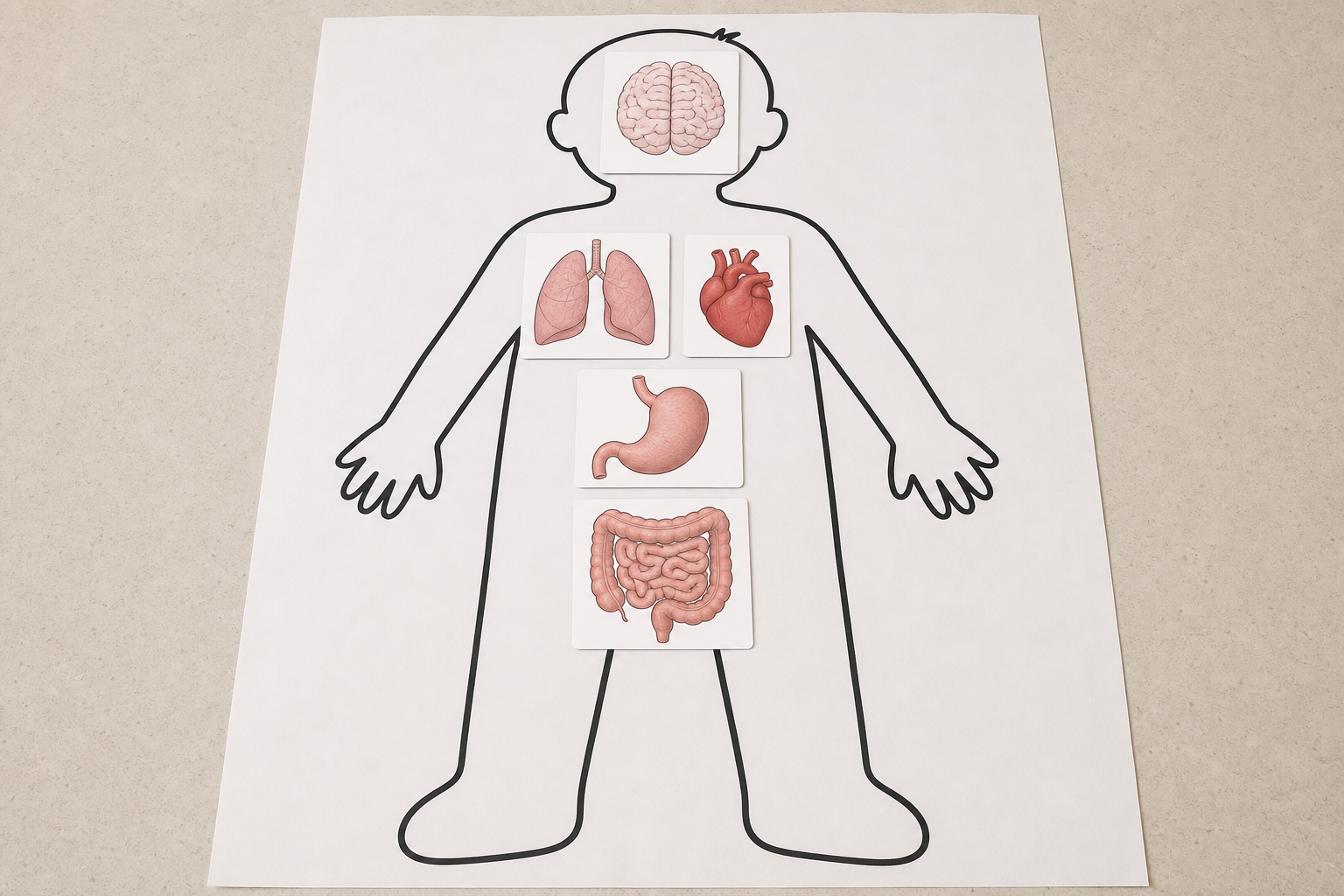 The same outline with the five organ cards set in their body positions