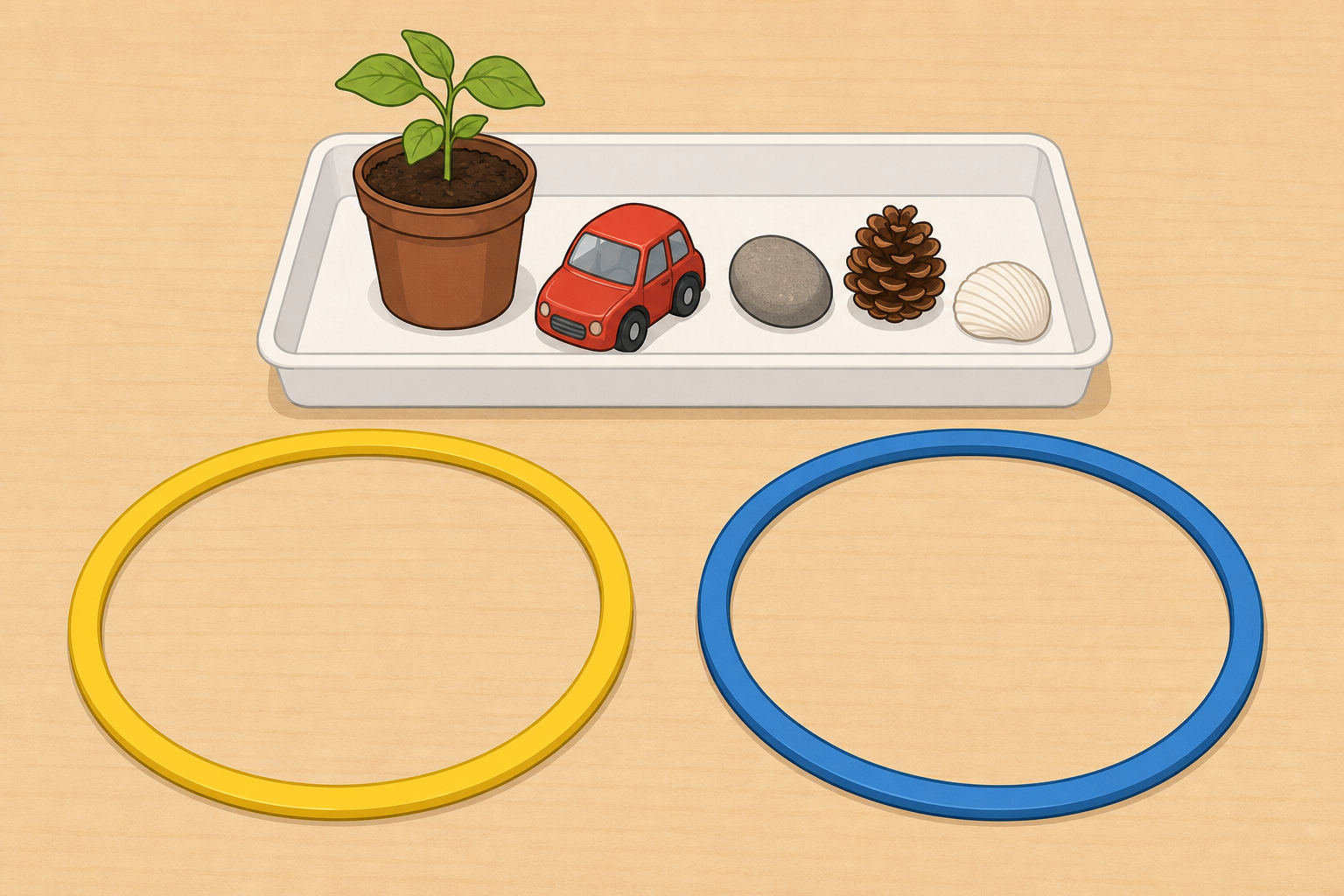 The sorting apparatus: empty hoops ready beside the tray of objects
