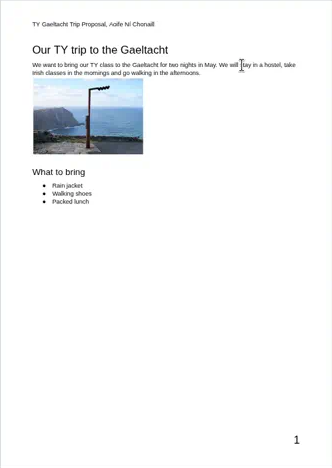 Page 1 of Aoife's polished proposal in Google Docs. Red boxes mark the header at the top, TY Gaeltacht Trip Proposal, Aoife Ni Chonaill, the page number in the footer, and the margin down the left-hand side. The page has a heading, a short paragraph, a photo of the Gaeltacht coast and a bulleted list of what to bring.