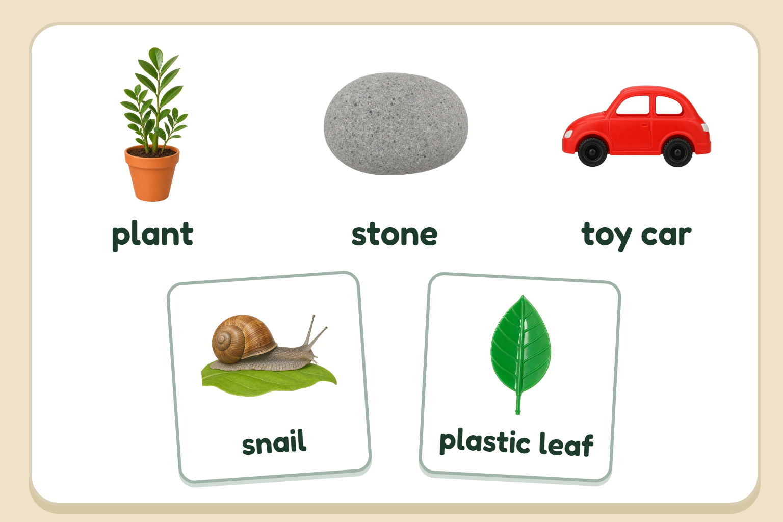 A tray holding a small potted plant, a grey stone and a red toy car, with two picture cards on it: a snail and a plastic leaf