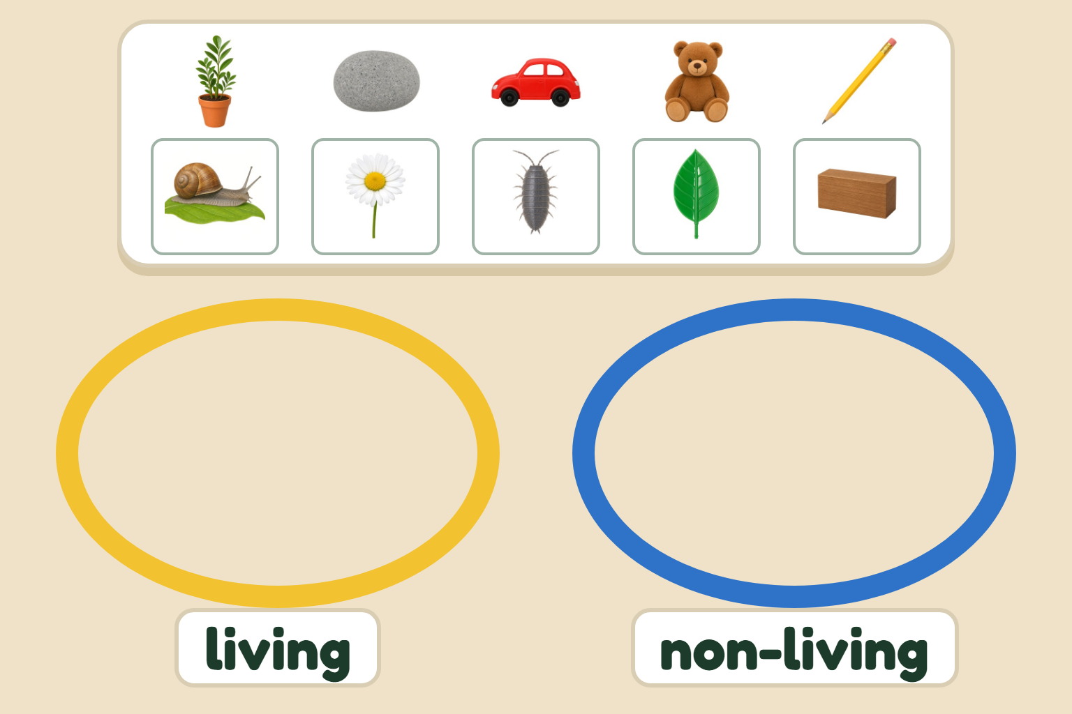 The ten things on the tray, a plant, a stone, a toy car, a teddy, a pencil, a snail, a daisy, a woodlouse, a plastic leaf and a wooden block, above two empty hoops labelled living and non-living