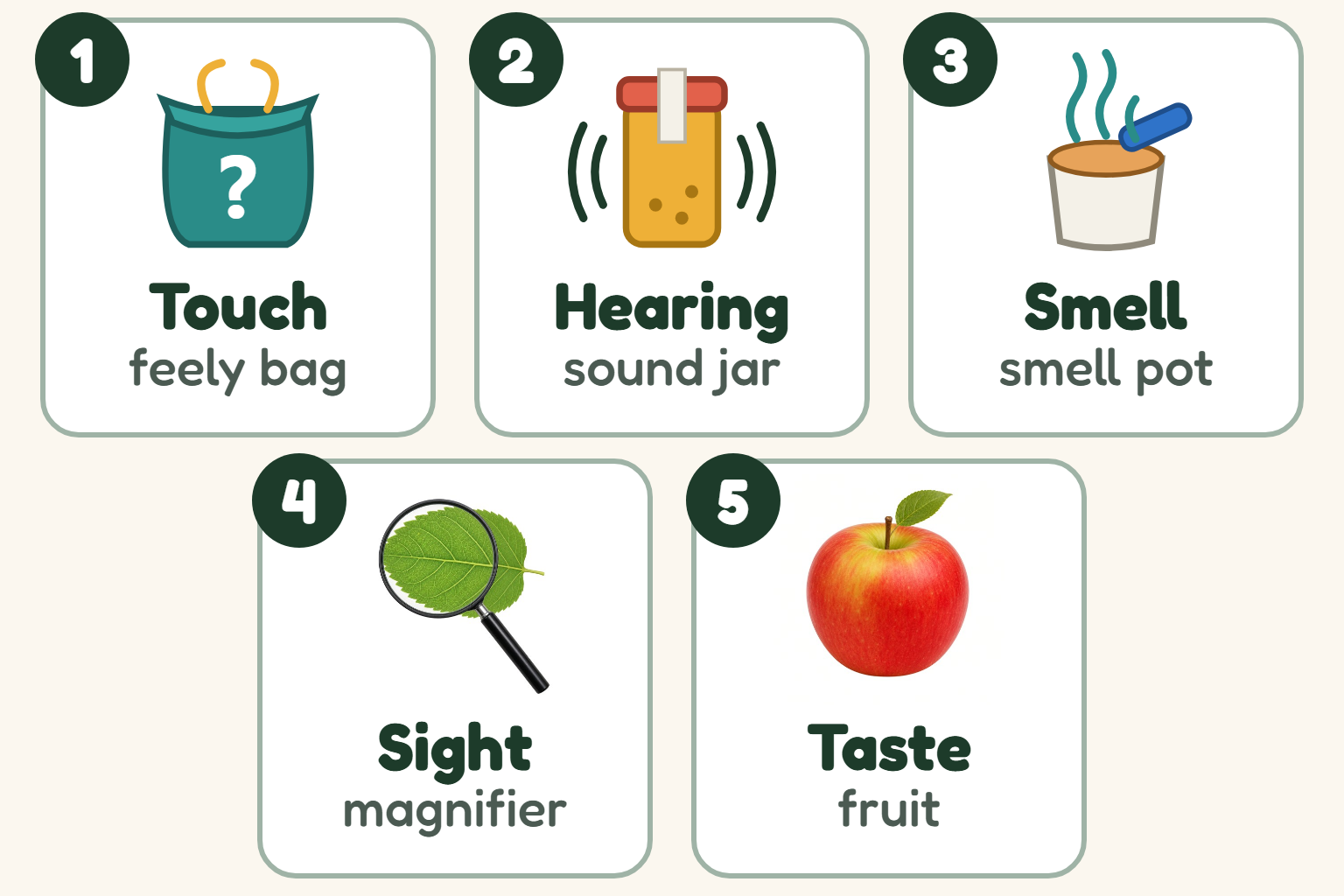 The five kits in order: 1 touch, the feely bag; 2 hearing, the sound jar; 3 smell, the smell pot; 4 sight, the magnifier; 5 taste, the fruit