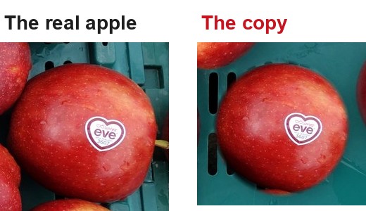 Close up, the real apple with the eve sticker beside its copy: the same shape, the same marks and the sticker at exactly the same angle.